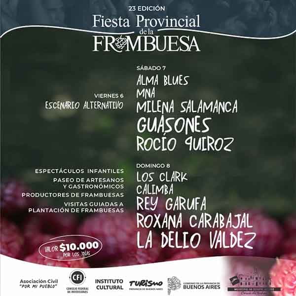 Flyer de Fiesta Provincial de la Frambuesa