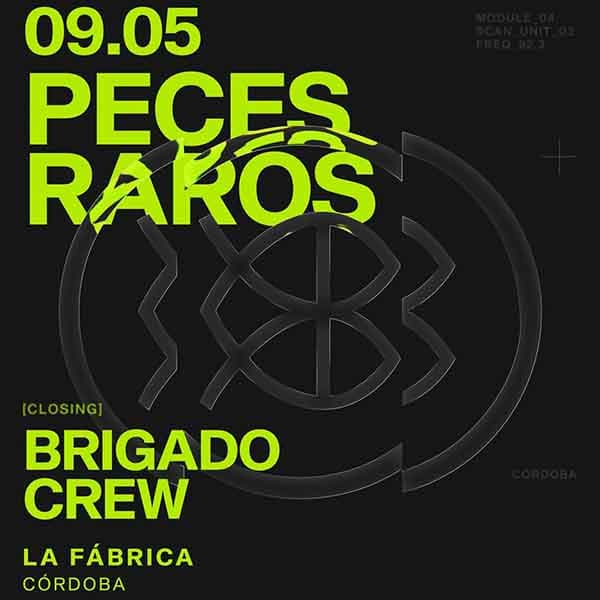 Flyer de Peces Raros