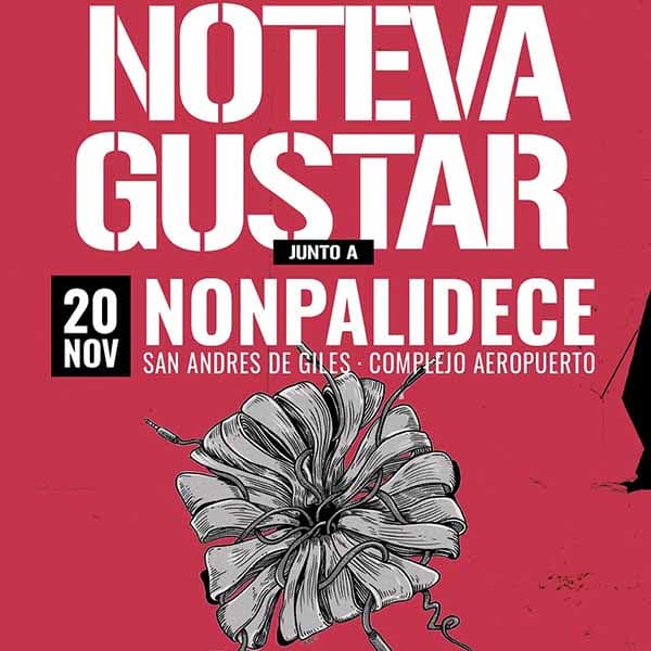 Flyer de No Te Va Gustar, Nonpalidece
