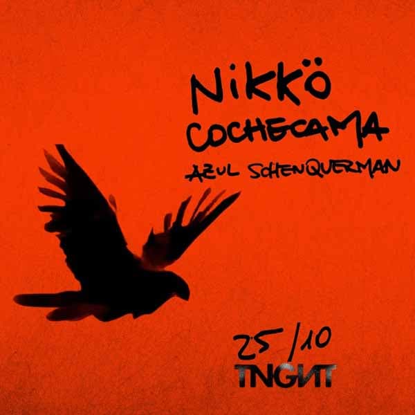 Flyer de Nikkö, Cochecama