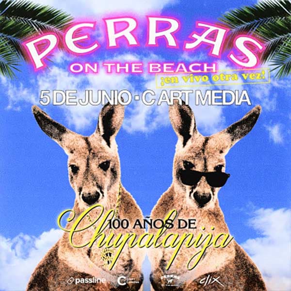 Flyer de Perras on the Beach